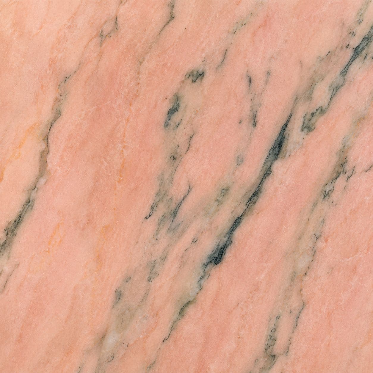 Dalle de Rose Portugal
